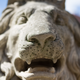 Image for article titled Sigma 50mm f/1.4 Art Review: Great Glass That Punches Above Its Price